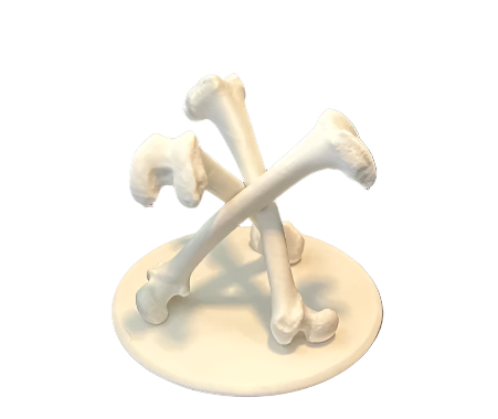 Human Femur Tripod Stand – Bone-Style Candle or Display Holder